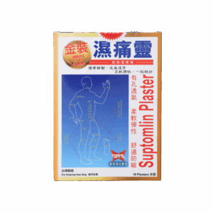 金裝濕痛靈追風透骨膏 10'S