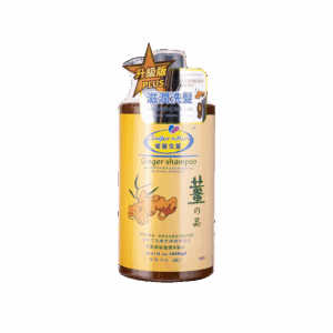 GINGER DEHAIR 琴葉生薑療髮洗髮水 - 滋潤 1L
