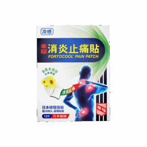 FORTOCOOL PAIN PATCH 12'S HK66114